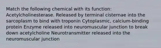 Match the following chemical with its function: Acetylcholinesterase. Released by terminal cisternae into the sarcoplasm to bind with troponin Cytoplasmic, calcium-binding protein Enzyme released into neuromuscular junction to break down acetylcholine Neurotransmitter released into the neuromuscular junction