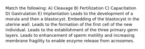 Match the following: A) Cleavage B) Fertilization C) Capacitation D) Gastrulation E) Implantation Leads to the development of a morula and then a blastocyst. Embedding of the blastocyst in the uterine wall. Leads to the formation of the first cell of the new individual. Leads to the establishment of the three primary germ layers. Leads to enhancement of sperm motility and increasing membrane fragility to enable enzyme release from acrosomes.