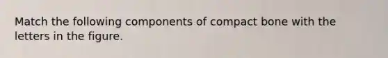 Match the following components of compact bone with the letters in the figure.