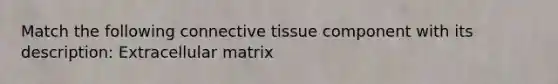 Match the following connective tissue component with its description: Extracellular matrix