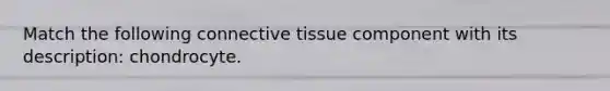 Match the following connective tissue component with its description: chondrocyte.