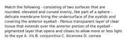 Match the following - consisting of two surfaces that are rounded, elevated and curved evenly, like part of a sphere - delicate membrane lining the undersurface of the eyelids and covering the anterior eyeball - fibrous transparent layer of clear tissue that extends over the anterior portion of the eyeball - pigmented layer that opens and closes to allow more or less light to the eye A. iris B. conjunctiva C. biconvex D. cornea