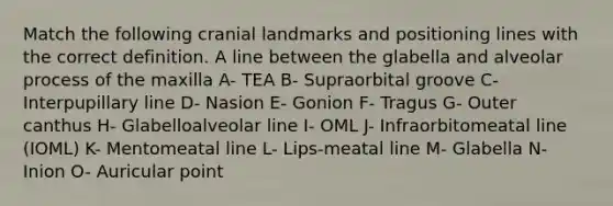 Match the following cranial landmarks and positioning lines with the correct definition. A line between the glabella and alveolar process of the maxilla A- TEA B- Supraorbital groove C- Interpupillary line D- Nasion E- Gonion F- Tragus G- Outer canthus H- Glabelloalveolar line I- OML J- Infraorbitomeatal line (IOML) K- Mentomeatal line L- Lips-meatal line M- Glabella N- Inion O- Auricular point