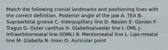 Match the following cranial landmarks and positioning lines with the correct definition. Posterior angle of the jaw A- TEA B- Supraorbital groove C- Interpupillary line D- Nasion E- Gonion F- Tragus G- Outer canthus H- Glabelloalveolar line I- OML J- Infraorbitomeatal line (IOML) K- Mentomeatal line L- Lips-meatal line M- Glabella N- Inion O- Auricular point