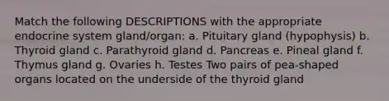 Match the following DESCRIPTIONS with the appropriate endocrine system gland/organ: a. Pituitary gland (hypophysis) b. Thyroid gland c. Parathyroid gland d. Pancreas e. Pineal gland f. Thymus gland g. Ovaries h. Testes Two pairs of pea-shaped organs located on the underside of the thyroid gland