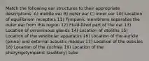 Match the following ear structures to their appropriate descriptions: A) middle ear B) outer ear C) inner ear 10) Location of equilibrium receptors 11) Tympanic membrane separates the outer ear from this region 12) Fluid-filled part of the ear 13) Location of ceruminous glands 14) Location of otoliths 15) Location of the vestibular apparatus 16) Location of the auricle (pinna) and external acoustic meatus 17) Location of the ossicles 18) Location of the cochlea 19) Location of the pharyngotympanic (auditory) tube