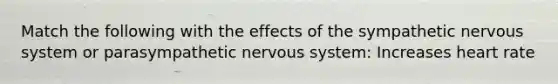 Match the following with the effects of the sympathetic nervous system or parasympathetic nervous system: Increases heart rate