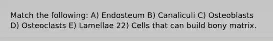 Match the following: A) Endosteum B) Canaliculi C) Osteoblasts D) Osteoclasts E) Lamellae 22) Cells that can build bony matrix.