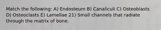 Match the following: A) Endosteum B) Canaliculi C) Osteoblasts D) Osteoclasts E) Lamellae 21) Small channels that radiate through the matrix of bone.