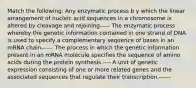 Match the following: Any enzymatic process b y which the linear arrangement of nucleic acid sequences in a chromosome is altered by cleavage and rejoining----- The enzymatic process whereby the genetic information contained in one strand of DNA is used to specify a complementary sequence of bases in an mRNA chain------ The process in which the genetic information present in an mRNA molecule specifies the sequence of amino acids during the protein synthesis.---- A unit of genetic expression consisting of one or more related genes and the associated sequences that regulate their transcription.------