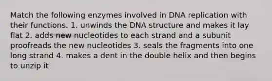 Match the following enzymes involved in <a href='https://www.questionai.com/knowledge/kofV2VQU2J-dna-replication' class='anchor-knowledge'>dna replication</a> with their functions. 1. unwinds the <a href='https://www.questionai.com/knowledge/kWBpxS6BsR-dna-structure' class='anchor-knowledge'>dna structure</a> and makes it lay flat 2. adds new nucleotides to each strand and a subunit proofreads the new nucleotides 3. seals the fragments into one long strand 4. makes a dent in the double helix and then begins to unzip it