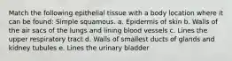 Match the following epithelial tissue with a body location where it can be found: Simple squamous. a. Epidermis of skin b. Walls of the air sacs of the lungs and lining blood vessels c. Lines the upper respiratory tract d. Walls of smallest ducts of glands and kidney tubules e. Lines the urinary bladder