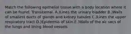 Match the following epithelial tissue with a body location where it can be found: Transitional. A.)Lines the urinary bladder B.)Walls of smallest ducts of glands and kidney tubules C.)Lines the upper respiratory tract D.)Epidermis of skin E.)Walls of the air sacs of the lungs and lining blood vessels