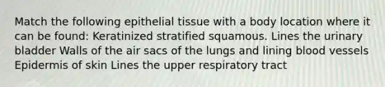 Match the following epithelial tissue with a body location where it can be found: Keratinized stratified squamous. Lines the urinary bladder Walls of the air sacs of the lungs and lining blood vessels Epidermis of skin Lines the upper respiratory tract