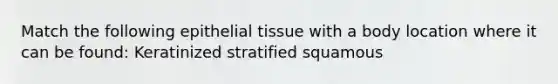 Match the following <a href='https://www.questionai.com/knowledge/k7dms5lrVY-epithelial-tissue' class='anchor-knowledge'>epithelial tissue</a> with a body location where it can be found: Keratinized stratified squamous