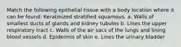 Match the following epithelial tissue with a body location where it can be found: Keratinized stratified squamous. a. Walls of smallest ducts of glands and kidney tubules b. Lines the upper respiratory tract c. Walls of the air sacs of the lungs and lining blood vessels d. Epidermis of skin e. Lines the urinary bladder