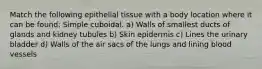 Match the following epithelial tissue with a body location where it can be found: Simple cuboidal. a) Walls of smallest ducts of glands and kidney tubules b) Skin epidermis c) Lines the urinary bladder d) Walls of the air sacs of the lungs and lining blood vessels