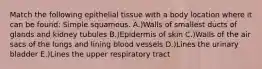 Match the following epithelial tissue with a body location where it can be found: Simple squamous. A.)Walls of smallest ducts of glands and kidney tubules B.)Epidermis of skin C.)Walls of the air sacs of the lungs and lining blood vessels D.)Lines the urinary bladder E.)Lines the upper respiratory tract