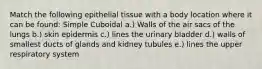 Match the following epithelial tissue with a body location where it can be found: Simple Cuboidal a.) Walls of the air sacs of the lungs b.) skin epidermis c.) lines the urinary bladder d.) walls of smallest ducts of glands and kidney tubules e.) lines the upper respiratory system