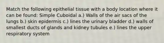 Match the following epithelial tissue with a body location where it can be found: Simple Cuboidal a.) Walls of the air sacs of the lungs b.) skin epidermis c.) lines the urinary bladder d.) walls of smallest ducts of glands and kidney tubules e.) lines the upper respiratory system