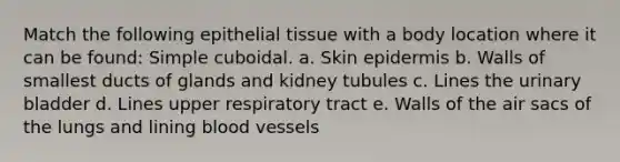 Match the following epithelial tissue with a body location where it can be found: Simple cuboidal. a. Skin epidermis b. Walls of smallest ducts of glands and kidney tubules c. Lines the urinary bladder d. Lines upper respiratory tract e. Walls of the air sacs of the lungs and lining blood vessels