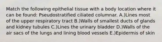 Match the following epithelial tissue with a body location where it can be found: Pseudostratified ciliated columnar. A.)Lines most of the upper respiratory tract B.)Walls of smallest ducts of glands and kidney tubules C.)Lines the urinary bladder D.)Walls of the air sacs of the lungs and lining blood vessels E.)Epidermis of skin