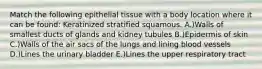 Match the following epithelial tissue with a body location where it can be found: Keratinized stratified squamous. A.)Walls of smallest ducts of glands and kidney tubules B.)Epidermis of skin C.)Walls of the air sacs of the lungs and lining blood vessels D.)Lines the urinary bladder E.)Lines the upper respiratory tract