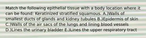 Match the following epithelial tissue with a body location where it can be found: Keratinized stratified squamous. A.)Walls of smallest ducts of glands and kidney tubules B.)Epidermis of skin C.)Walls of the air sacs of the lungs and lining blood vessels D.)Lines the urinary bladder E.)Lines the upper respiratory tract