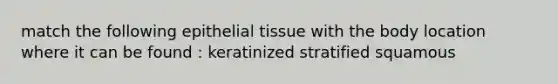 match the following epithelial tissue with the body location where it can be found : keratinized stratified squamous