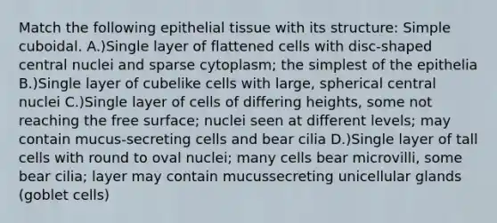 Match the following epithelial tissue with its structure: Simple cuboidal. A.)Single layer of flattened cells with disc-shaped central nuclei and sparse cytoplasm; the simplest of the epithelia B.)Single layer of cubelike cells with large, spherical central nuclei C.)Single layer of cells of differing heights, some not reaching the free surface; nuclei seen at different levels; may contain mucus-secreting cells and bear cilia D.)Single layer of tall cells with round to oval nuclei; many cells bear microvilli, some bear cilia; layer may contain mucussecreting unicellular glands (goblet cells)