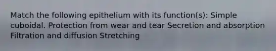 Match the following epithelium with its function(s): Simple cuboidal. Protection from wear and tear Secretion and absorption Filtration and diffusion Stretching