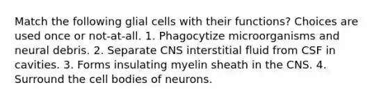 Match the following glial cells with their functions? Choices are used once or not-at-all. 1. Phagocytize microorganisms and neural debris. 2. Separate CNS interstitial fluid from CSF in cavities. 3. Forms insulating myelin sheath in the CNS. 4. Surround the cell bodies of neurons.