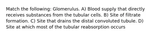 Match the following: Glomerulus. A) Blood supply that directly receives substances from the tubular cells. B) Site of filtrate formation. C) Site that drains the distal convoluted tubule. D) Site at which most of the tubular reabsorption occurs