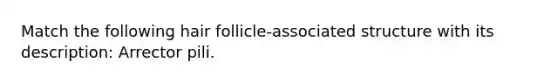 Match the following hair follicle-associated structure with its description: Arrector pili.