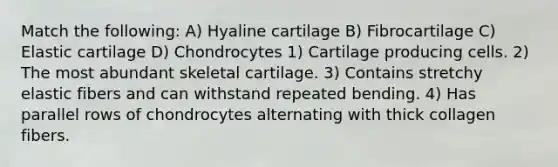 Match the following: A) Hyaline cartilage B) Fibrocartilage C) Elastic cartilage D) Chondrocytes 1) Cartilage producing cells. 2) The most abundant skeletal cartilage. 3) Contains stretchy elastic fibers and can withstand repeated bending. 4) Has parallel rows of chondrocytes alternating with thick collagen fibers.