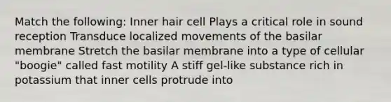 Match the following: Inner hair cell Plays a critical role in sound reception Transduce localized movements of the basilar membrane Stretch the basilar membrane into a type of cellular "boogie" called fast motility A stiff gel-like substance rich in potassium that inner cells protrude into