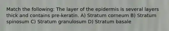 Match the following: The layer of <a href='https://www.questionai.com/knowledge/kBFgQMpq6s-the-epidermis' class='anchor-knowledge'>the epidermis</a> is several layers thick and contains pre-keratin. A) Stratum corneum B) Stratum spinosum C) Stratum granulosum D) Stratum basale