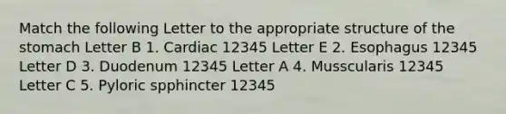 Match the following Letter to the appropriate structure of <a href='https://www.questionai.com/knowledge/kLccSGjkt8-the-stomach' class='anchor-knowledge'>the stomach</a> Letter B 1. Cardiac 12345 Letter E 2. Esophagus 12345 Letter D 3. Duodenum 12345 Letter A 4. Musscularis 12345 Letter C 5. Pyloric spphincter 12345