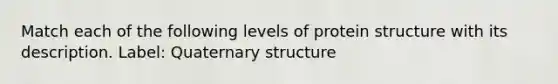 Match each of the following levels of protein structure with its description. Label: Quaternary structure