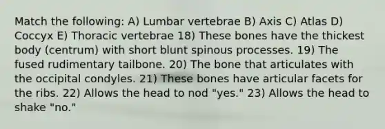 Match the following: A) Lumbar vertebrae B) Axis C) Atlas D) Coccyx E) Thoracic vertebrae 18) These bones have the thickest body (centrum) with short blunt spinous processes. 19) The fused rudimentary tailbone. 20) The bone that articulates with the occipital condyles. 21) These bones have articular facets for the ribs. 22) Allows the head to nod "yes." 23) Allows the head to shake "no."