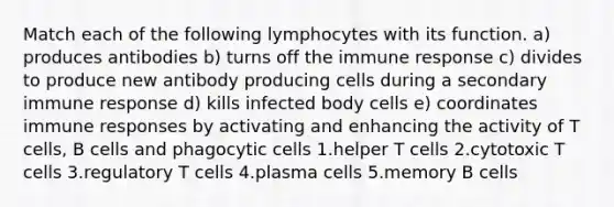 Match each of the following lymphocytes with its function. a) produces antibodies b) turns off the immune response c) divides to produce new antibody producing cells during a secondary immune response d) kills infected body cells e) coordinates immune responses by activating and enhancing the activity of T cells, B cells and phagocytic cells 1.helper T cells 2.cytotoxic T cells 3.regulatory T cells 4.plasma cells 5.memory B cells