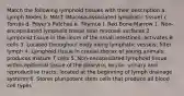 Match the following lymphoid tissues with their description a. Lymph Nodes b. MALT (Mucosa-associated lymphatic tissue) c. Tonsils d. Peyer's Patches e. Thymus f. Red Bone Marrow 1. Non-encapsulated lymphoid tissue near mucosal surfaces 2. Lymphoid tissue in the ileum of the small intestines; activates B cells 3. Located throughout body along lymphatic vessels; filter lymph 4. Lymphoid tissue in cranial thorax of young animals; produces mature T cells 5. Non-encapsulated lymphoid tissue within epithelial tissue of the pharynx, larynx, urinary and reproductive tracts; located at the beginning of lymph drainage systems 6. Stores pluripotent stem cells that produce all blood cell types