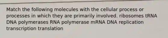 Match the following molecules with the cellular process or processes in which they are primarily involved. ribosomes tRNA DNA polymerases RNA polymerase mRNA DNA replication transcription translation