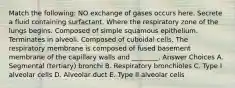 Match the following: NO exchange of gases occurs here. Secrete a fluid containing surfactant. Where the respiratory zone of the lungs begins. Composed of simple squamous epithelium. Terminates in alveoli. Composed of cuboidal cells. The respiratory membrane is composed of fused basement membrane of the capillary walls and ________. Answer Choices A. Segmental (tertiary) bronchi B. Respiratory bronchioles C. Type I alveolar cells D. Alveolar duct E. Type II alveolar cells