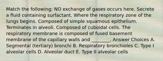 Match the following: NO exchange of gases occurs here. Secrete a fluid containing surfactant. Where the respiratory zone of the lungs begins. Composed of simple squamous epithelium. Terminates in alveoli. Composed of cuboidal cells. The respiratory membrane is composed of fused basement membrane of the capillary walls and ________. Answer Choices A. Segmental (tertiary) bronchi B. Respiratory bronchioles C. Type I alveolar cells D. Alveolar duct E. Type II alveolar cells