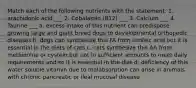 Match each of the following nutrients with the statement: 1. arachidonic acid ___ 2. Cobalamin (B12) ___ 3. Calcium ___ 4. Taurine ___ a. excess intake of this nutrient can predispose growing large and giant breed dogs to developmental orthopedic diseases b. dogs can synthesize this FA from linoleic acid but it is essential in the diets of cats c. cats synthesize this AA from methionine or cystein but not in sufficient amounts to meet daily requirements and so it is essential in the diet d. deficiency of this water soluble vitamin due to malabsorption can arise in animals with chronic pancreatic or ileal mucosal disease