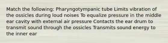 Match the following: Pharyngotympanic tube Limits vibration of the ossicles during loud noises To equalize pressure in the middle ear cavity with external air pressure Contacts the ear drum to transmit sound through the ossicles Transmits sound energy to the inner ear