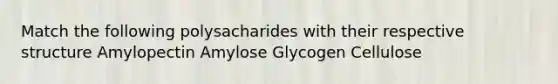 Match the following polysacharides with their respective structure Amylopectin Amylose Glycogen Cellulose