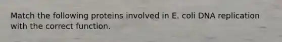 Match the following proteins involved in E. coli <a href='https://www.questionai.com/knowledge/kofV2VQU2J-dna-replication' class='anchor-knowledge'>dna replication</a> with the correct function.