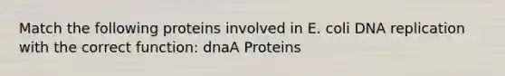 Match the following proteins involved in E. coli <a href='https://www.questionai.com/knowledge/kofV2VQU2J-dna-replication' class='anchor-knowledge'>dna replication</a> with the correct function: dnaA Proteins